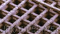 Printing 3-D graphene structures for tissue engineering
