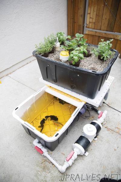 Build an Aquaponic Garden with Arduino
