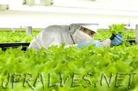 World's first 'robot run' farm to open in Japan