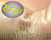 Fast, stretchy circuits could yield new wave of wearable electronics