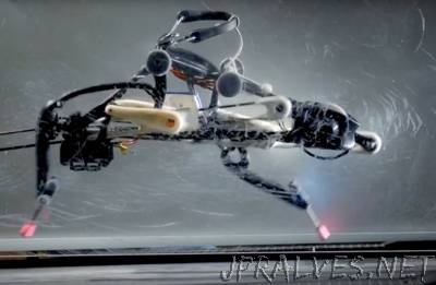 An Ostrich-Like Robot Pushes the Limits of Legged Locomotion