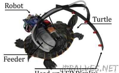 Parasitic Robot System for Turtle's Waypoint Navigation