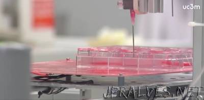 Spanish scientists make advances in 3D printing bone and cartilage tissue