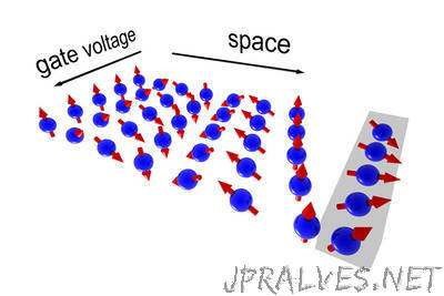 Manipulating Electron Spins Without Loss of Information