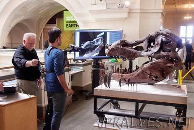 Researchers use Kinect to scan T. rex skull