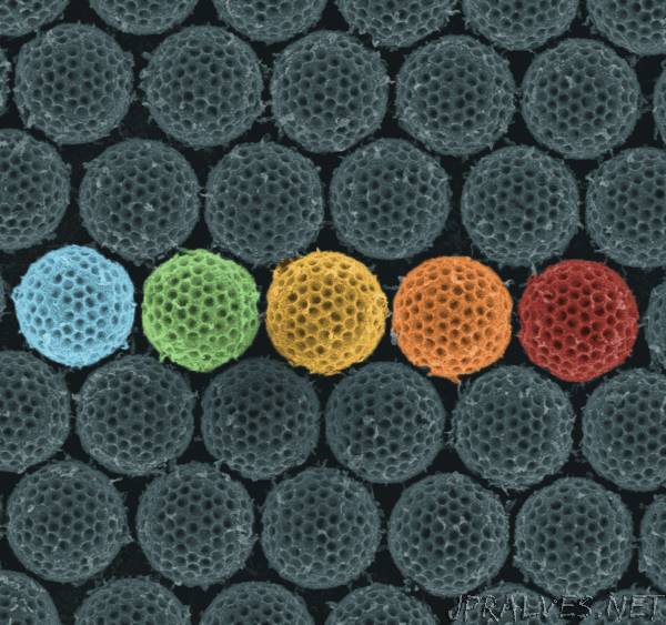 Synthetic material acts like an insect cloaking device