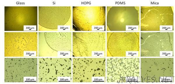 Graphene oxide making any material suitable to create biosensors