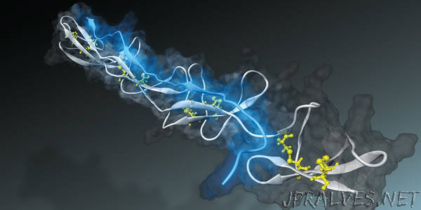 Nano-sensor measures tension of tissue fibres