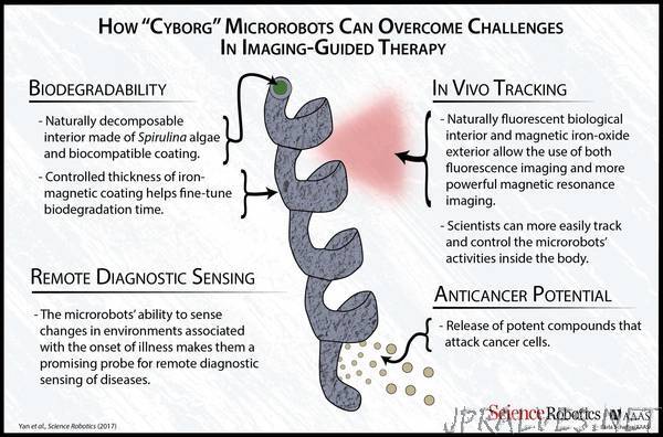 Nanobots pass first stage in ‘fantastic voyage' from fiction to fact