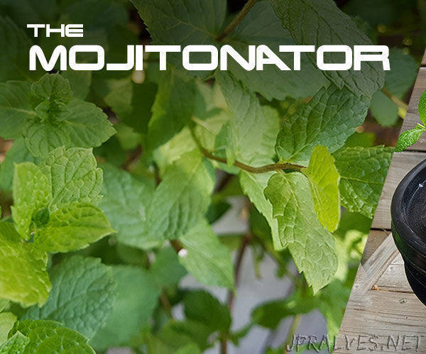 Mojitonator - Easy, Cheap, Small Hydroponic System