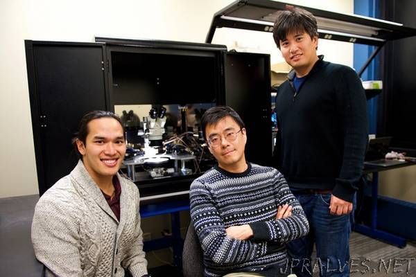 Engineers design artificial synapse for "brain-on-a-chip" hardware