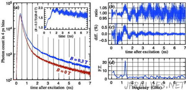Quantum beats of a multiexciton state in rubrene single crystals
