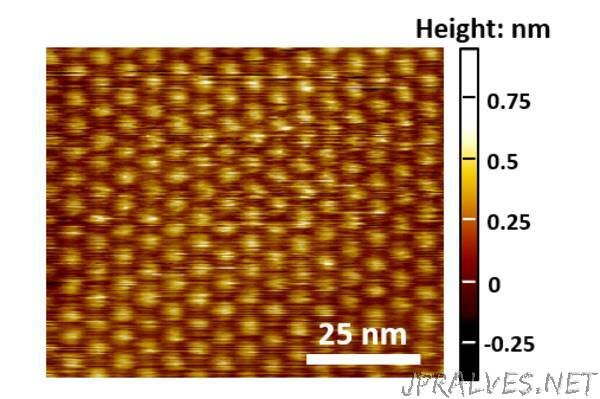 Electrochemical Tuning of Single Layer Materials Relies on Defects