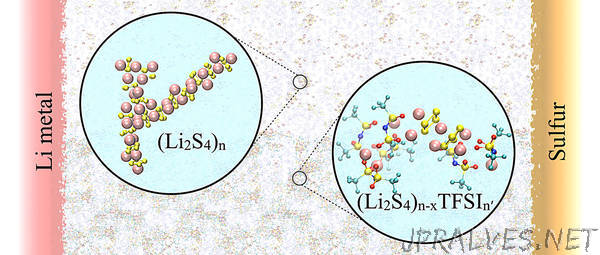 Keeping Tabs on Polysulfides in Batteries