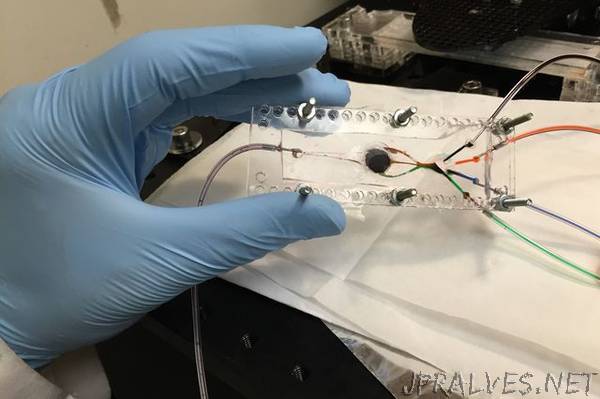 UCLA engineer develops 3D printer that can create complex biological tissues