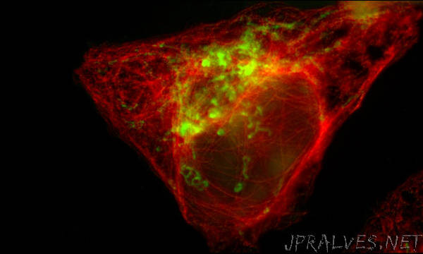 Beyond colour in cellular microscopy