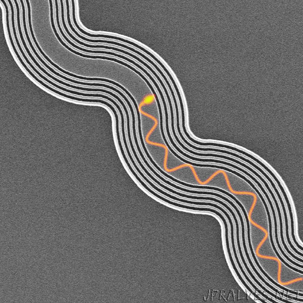 Trapping light that doesn't bounce off track for faster electronics