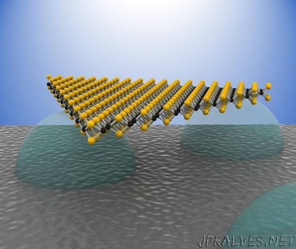 Levitating 2D Semiconductor for Better Performance