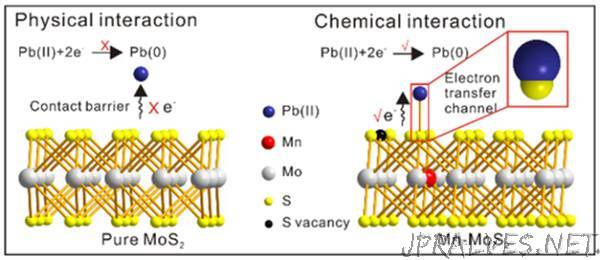 Researchers Reveal Ultrahigh Electrochemical Sensing of Heavy Metal Ions via Defect and Phase-Engineering