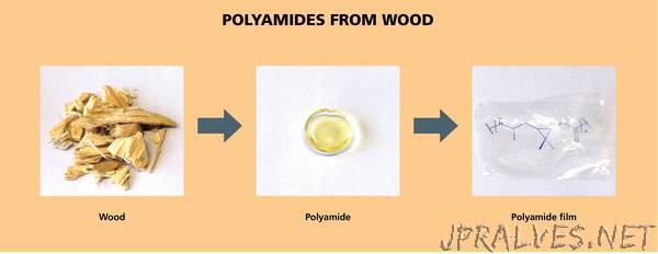 A transparent and thermally stable polyamide - 100 percent biobased