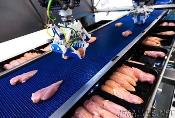 Flexible robotics for food production