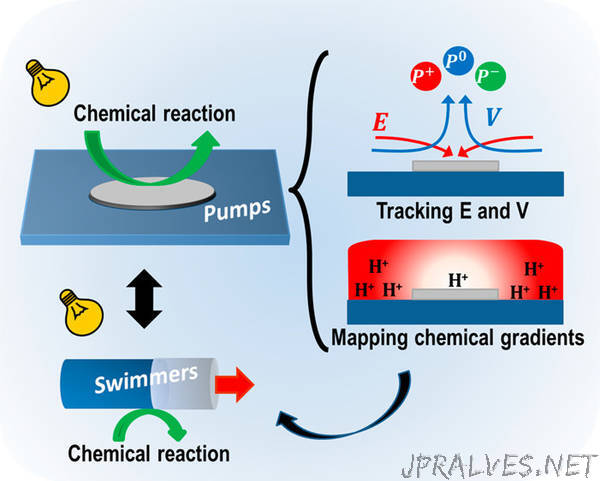 Micropumps as a platform for understanding chemically propelled micromotors