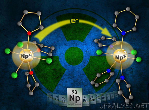 Opening Access to Explore the Synthetic Chemistry of Neptunium