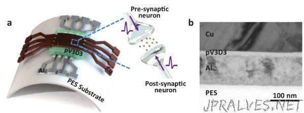 KAIST Develops Analog Memristive Synapses for Neuromorphic Chips