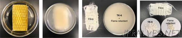 Dynamic polymer network points the way to truly recyclable plastics