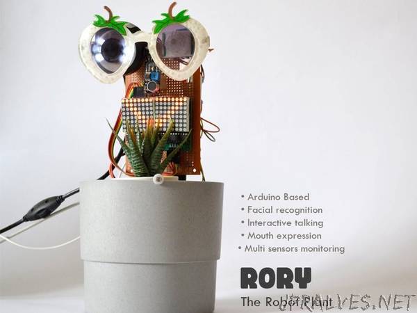 Rory the Robot Plant