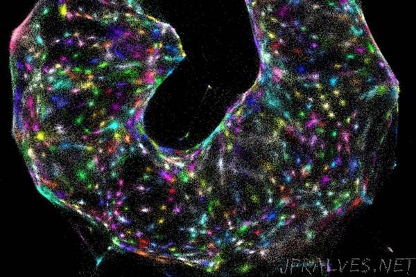 A chemical approach to imaging cells from the inside