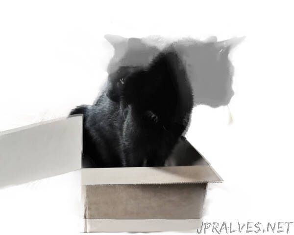 Schrödinger's Cat with 20 Qubits