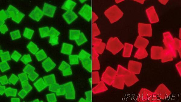 New crystal structure improves stability, safety of hybrid perovskite materials