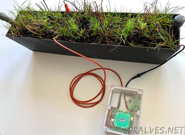 First plant-powered IoT sensor sends signal to space