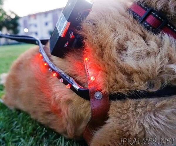 LED Distance Indicator Dog Harness