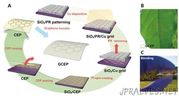 Enhancing the Performance of PSCs with ‘Graphene Armor’