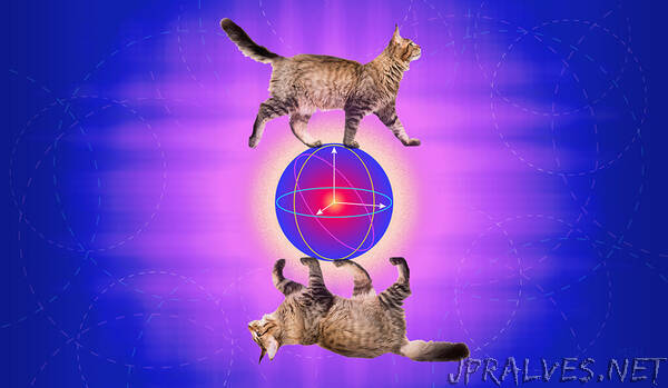 Yale quantum researchers create an error-correcting cat
