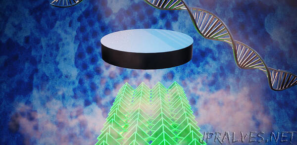 Making 3-D Nanosuperconductors with DNA