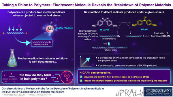 Taking a Shine to Polymers: Fluorescent Molecule Betrays the Breakdown of Polymer Materials