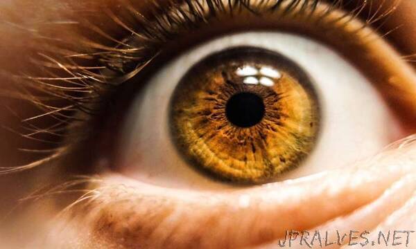 Breakthrough optical sensor mimics human eye, a key step toward better artificial intelligence
