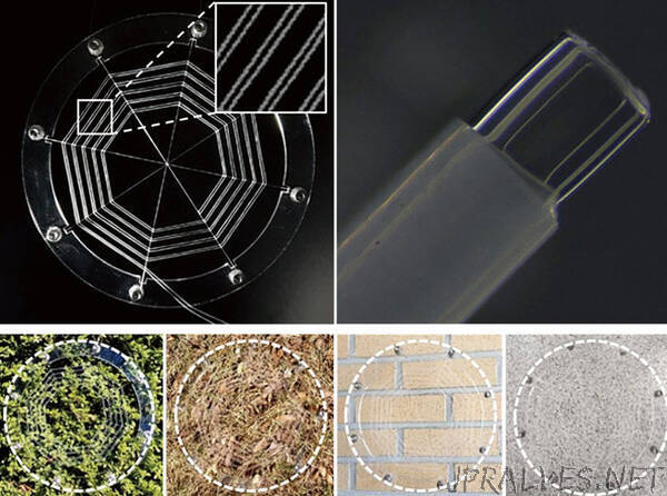 There’s a new spider in town: advancing the field of robotics with ionic spiderwebs