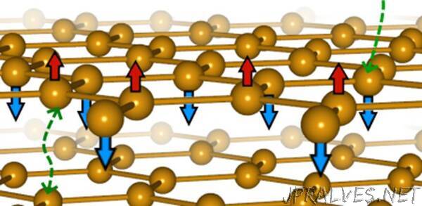 ‘Magnetic graphene’ forms a new kind of magnetism