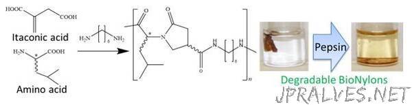 Pepsin-Degradable Plastics of BioNylons from Itaconic and Amino Acids