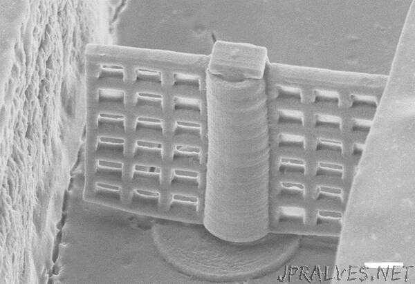 Researchers 3D Print Rotating Microfilter for Lab-on-a-Chip Applications
