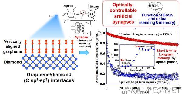 Towards next-gen computers: Mimicking brain functions with graphene-diamond junctions