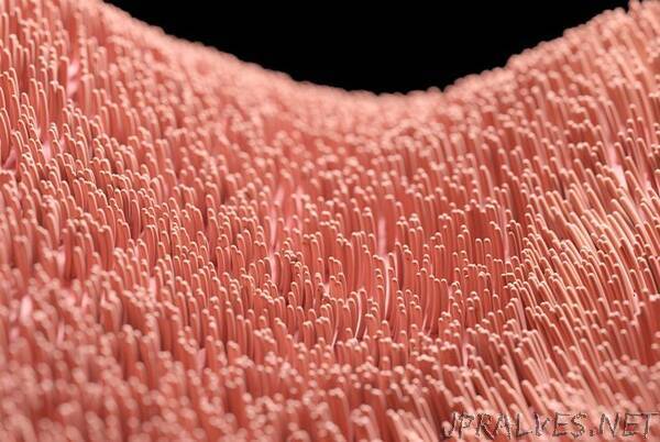 Artificial ultra-tiny ‘hairs’ open up future small-scale applications