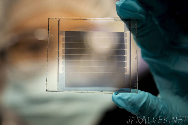Solar cells with 30-year lifetimes for power-generating windows