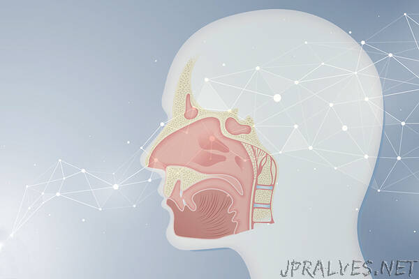 Artificial networks learn to smell like the brain