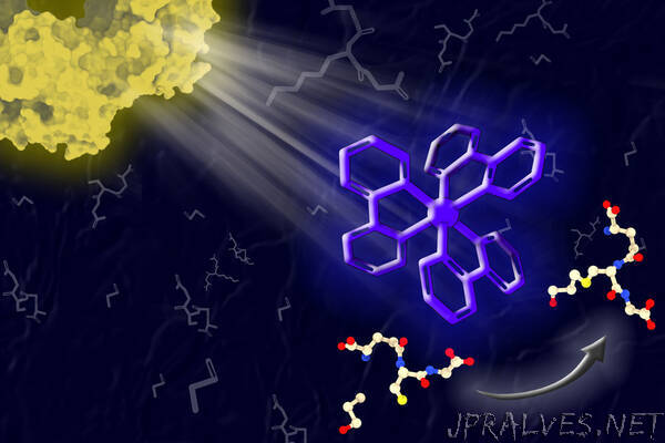 This light-powered catalyst mimics photosynthesis