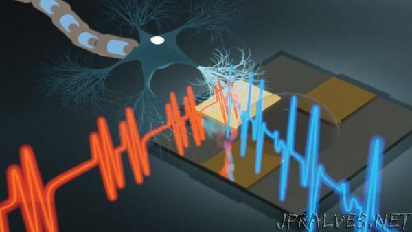 Focus on organic transistors for health sensors within living organisms